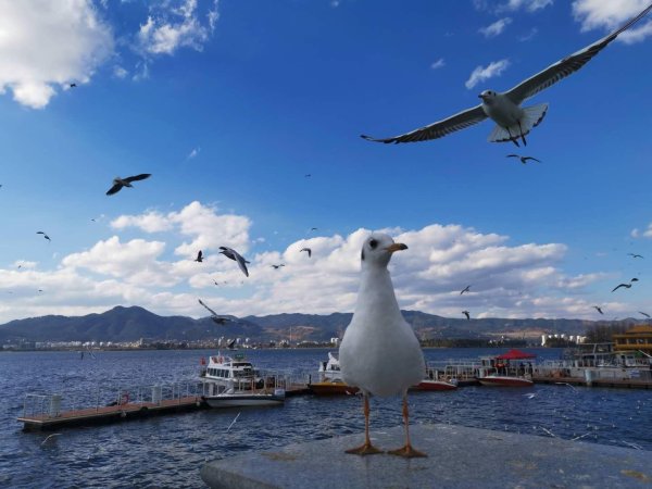 股指配资 千亿县扩容：5县域GDP超3000亿，昆山江阴超5000亿