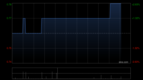 专业炒股配资网 华新手袋国际控股将于10月31日派发末期股息每股0.04港元